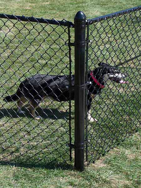 Chain link fence