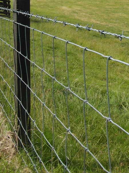 farm fence