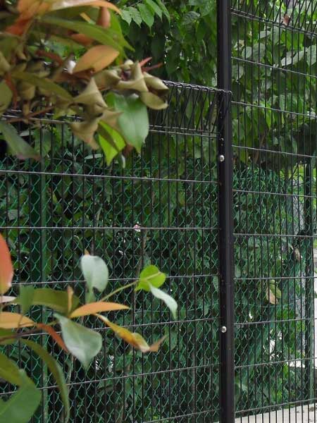 Steel mesh is used as temporary fence to mark boundaries of private  property because it is durable and easy install as fence. steel mesh  background is installed to prevent intrusion and has