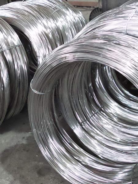 Galvanized Steel Wire