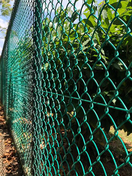 green chain link fence