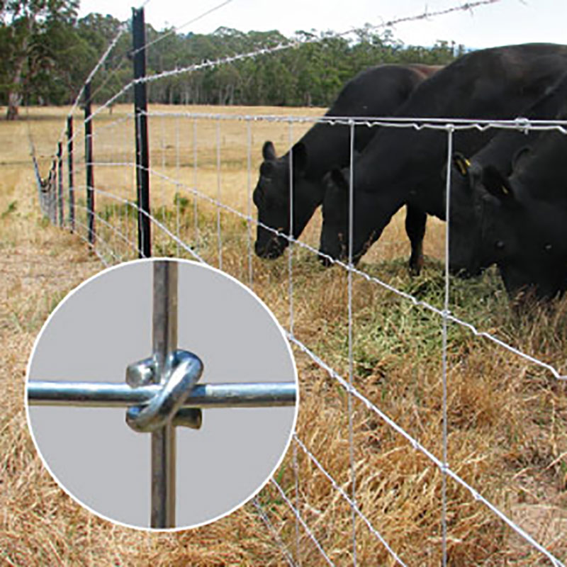 Chain link fence