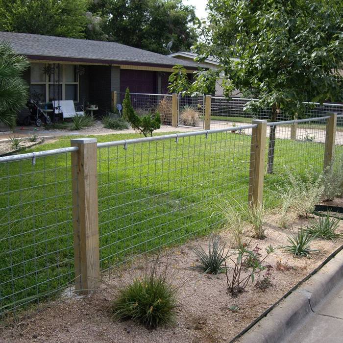 Several pieces of welded mesh panels are surrounding the garden.